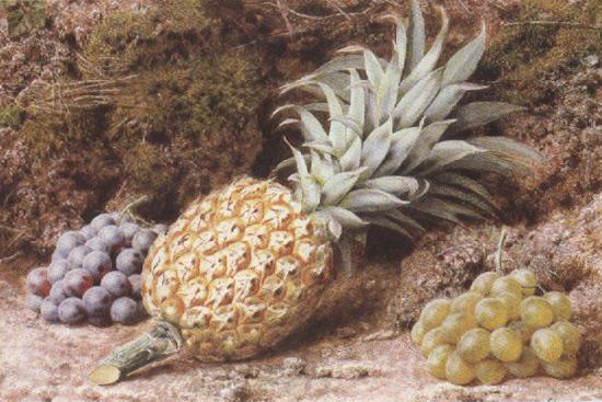 John Sherrin A Pineapple and Grapes on a mossy Bank (mk37) Norge oil painting art